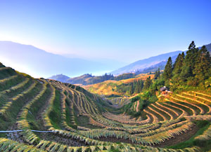 Longji Terraced Fields in Jinkeng Village 