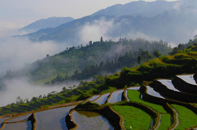 Longsheng terraced fields in Spring