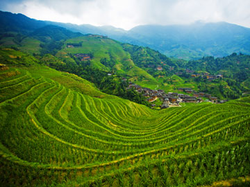 Longji Rice Terraces in Spring