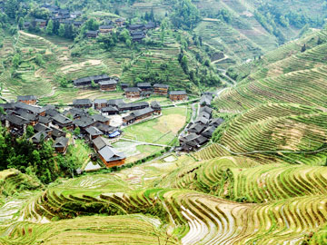 Longji Rice Terraces