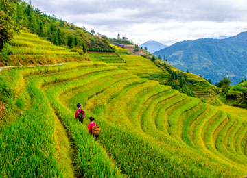 Yangshuo Biking