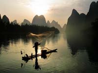 Li River Cormorant