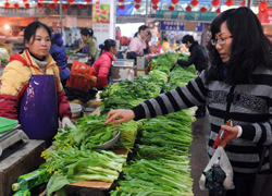 Local Farmer's Market